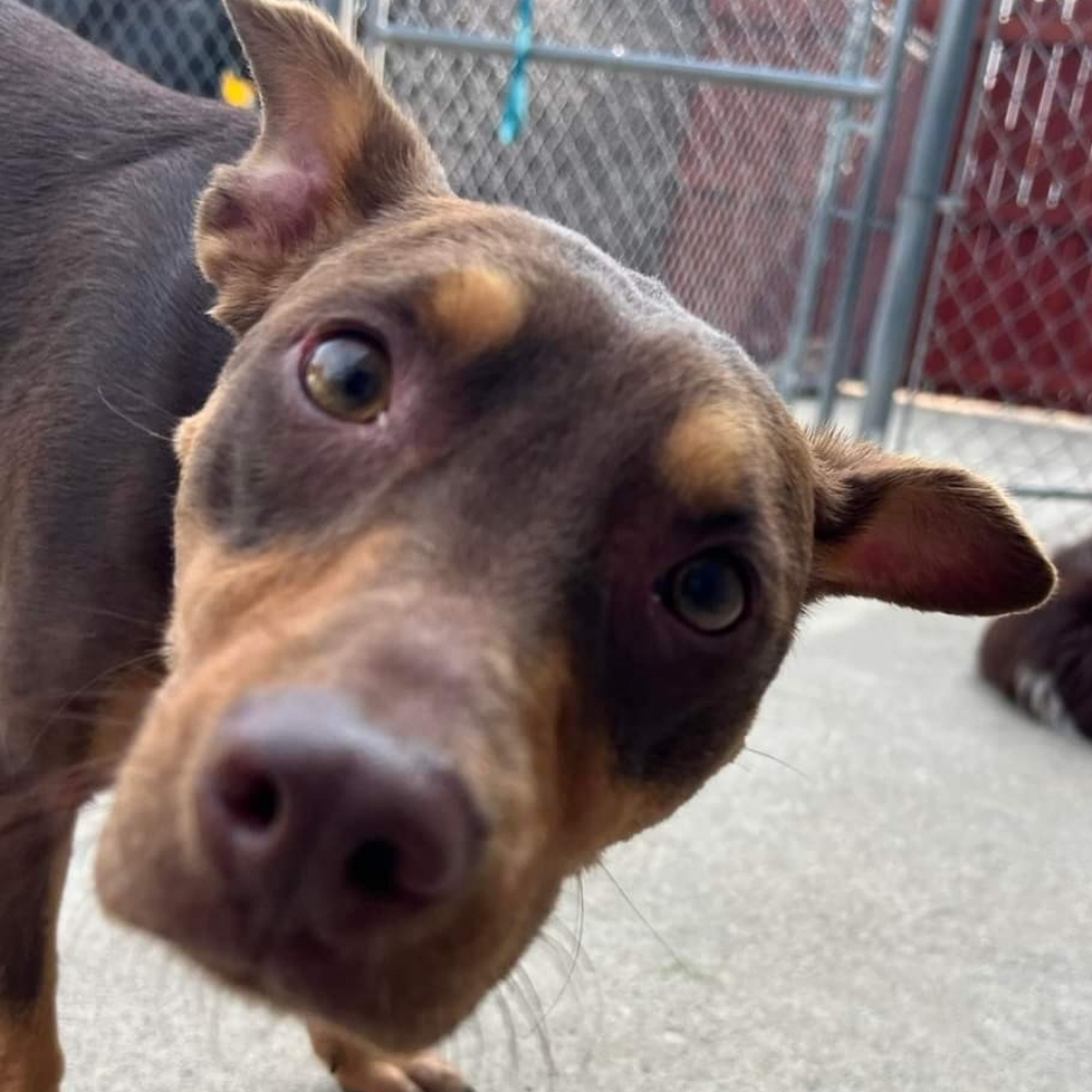 Hi! I'm Annie 🤗